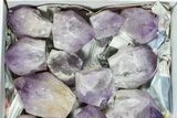 Lot: Lbs Amethyst Crystals (-) - Brazil #77846-2